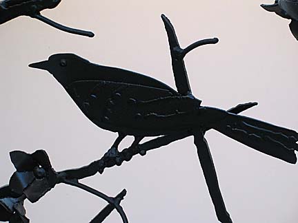 Bird detail
